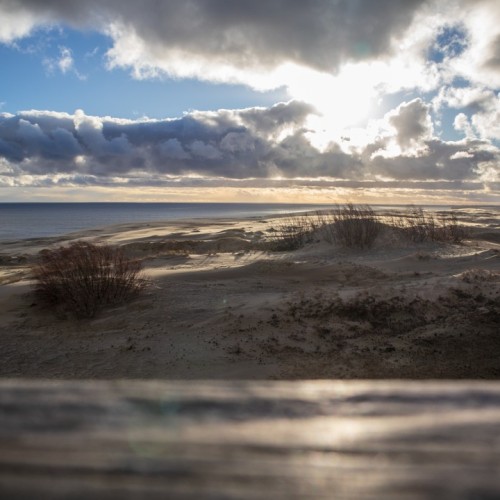 Замки, море и хомлины — лучшие места Калининградской области и дегустация на семейной сыроварне