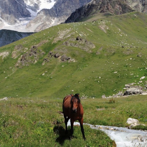 Персональная поездка по Дигории: природа и отдых в термальных источниках