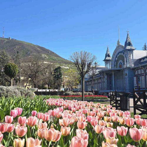 Приезжайте на Кавказ — будет пир и тост за вас! Тур с застольями, дегустацией и казачьей свадьбой