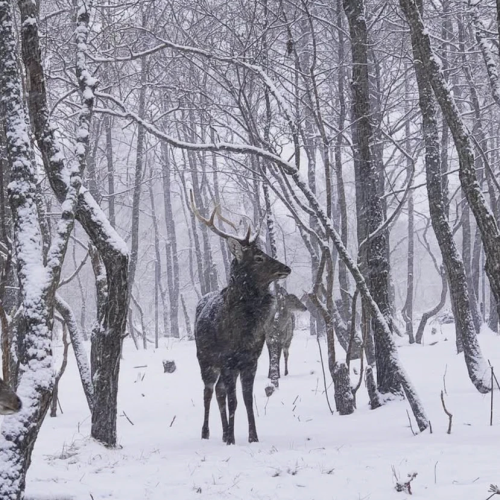 Индивидуальная перезагрузка на берегу заповедной бухты Петрова