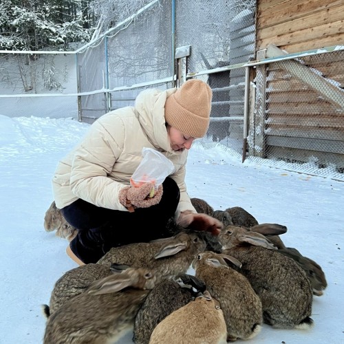 Индивидуальный джип-выезд по Кольскому с поисками китов, знакомством с саамами и катанием на оленях
