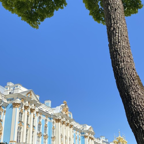Царское Село: рассвет и закат Российской империи