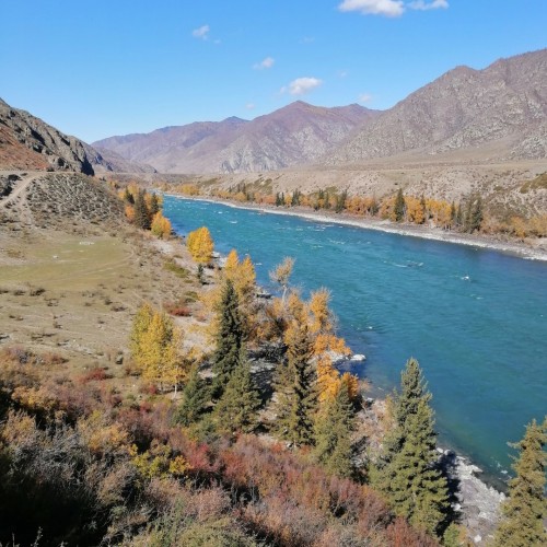 Автовыезд только для вашей компании: от Горно-Алтайска до границы с Монголией