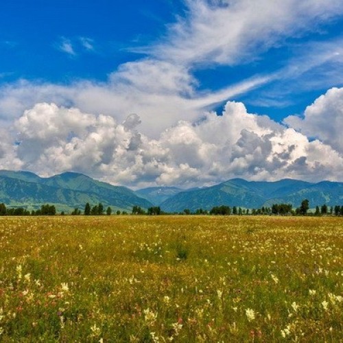 Автопутешествие по Горному Алтаю: Уймонская долина, Белуха и «каменные бабы» (мини-группа)