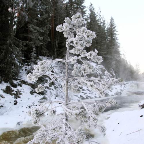 Долго будет Карелия сниться: тур по главным местам с заездом к Деду Морозу