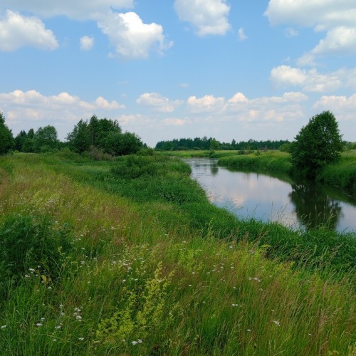 Выходные-перезагрузка на реке Шерне: сплав на байдарках (всё включено)