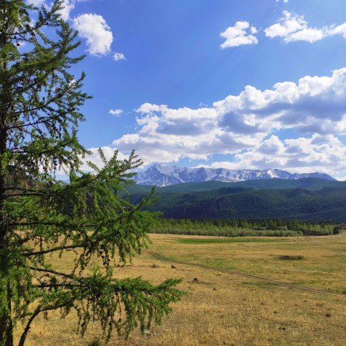 Влюбиться в Алтай: насыщенное путешествие в мини-группе