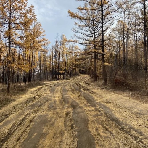 Два глубочайших озера-брата: путешествие на север Монголии и на Ольхон