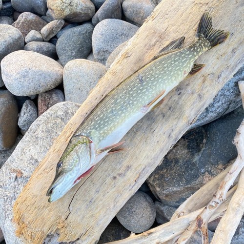 Богатство Байкала: рыбалка на реках и в диких местах на озере с катера