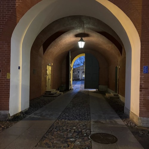 В ссылку по любви: истории жён декабристов