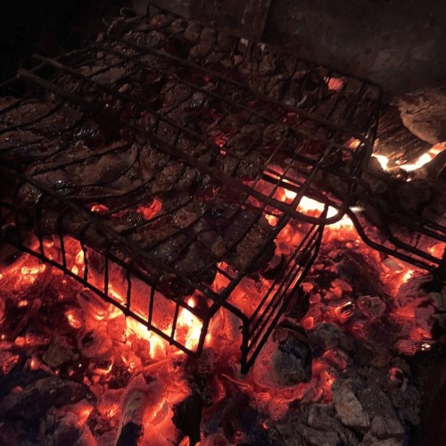 Териберка, Мурманск и деревня саамов: приключения на Кольском с поездкой за сиянием и поиском китов