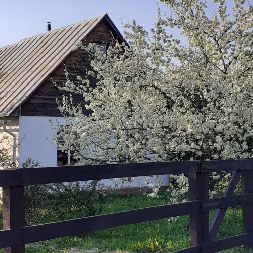 Коломенское: Старый Государев двор (в мини-группе)
