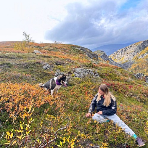 Приключения в Арктике в мини-группе: Териберка, Ловозеро, Хибины и Кировск с активностями