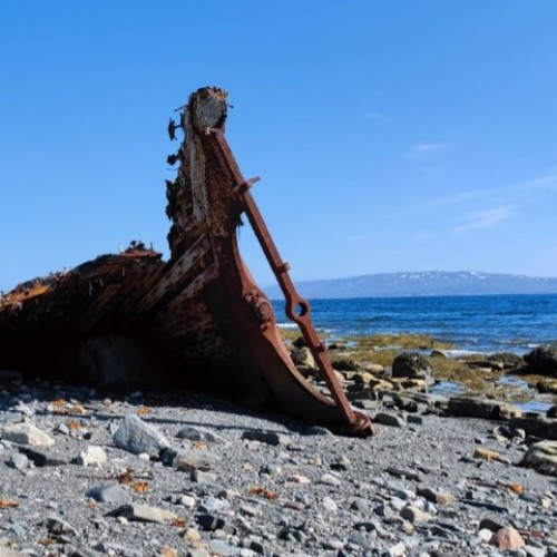 На самый-самый север: автопутешествие по Рыбачьему и Среднему
