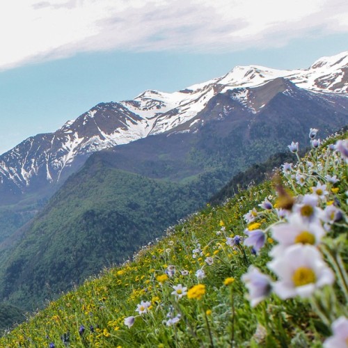 Уик-энд в Домбае и Архызе для всей семьи (индивидуальное путешествие)