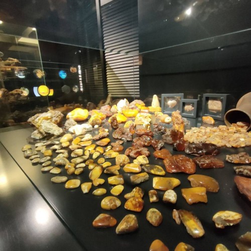 Первый раз в Калининград: истории знаковых мест и редко посещаемых локаций