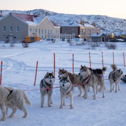 На Кольский в поисках китов и дельфинов мини-группой