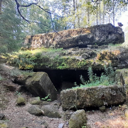 В Выборг на два дня: погружение в русскую Финляндию