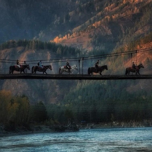 Конный тур для новичков по осеннему Алтаю с проживанием на базе. Всё включено
