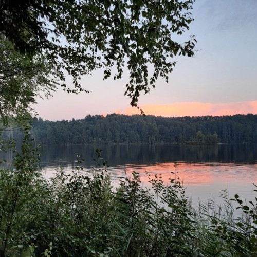В гости к вепсам: традиции и пейзажи с картин живописцев