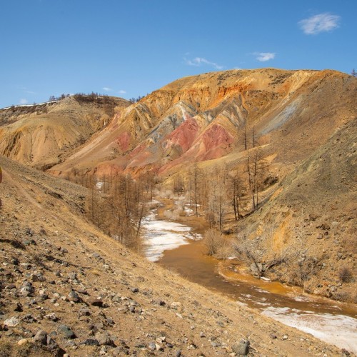 Майские на Алтае в сезон цветения маральника с ежедневными прогулками (всё включено)