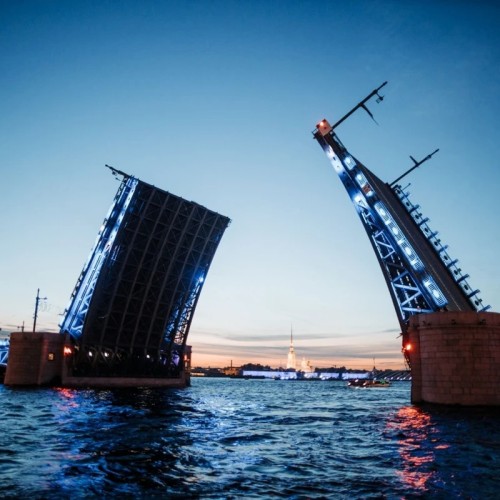 Дворцовый, Троицкий и Литейный