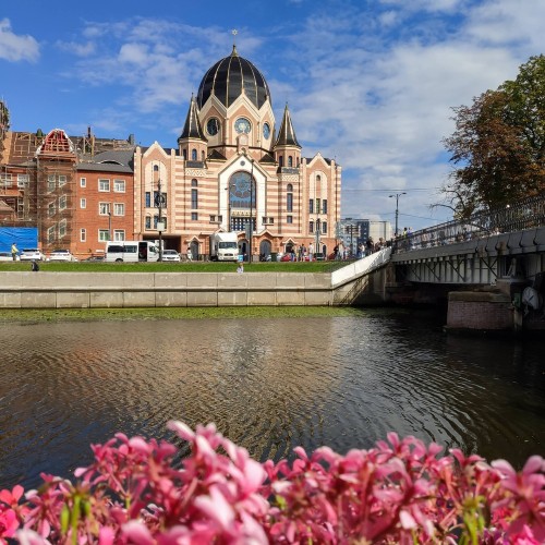 Первый раз в Калининград: истории знаковых мест и редко посещаемых локаций