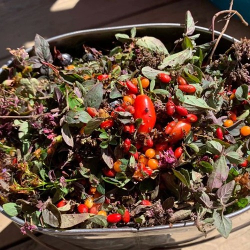 Лёгкий треккинг в Приэльбрусье с проживанием в гостинице