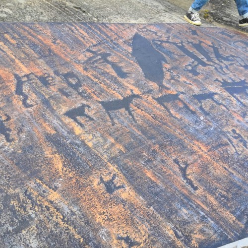 В Мурманск и Териберку из Санкт-Петербурга: Карелия, Кольский полуостров и города по пути