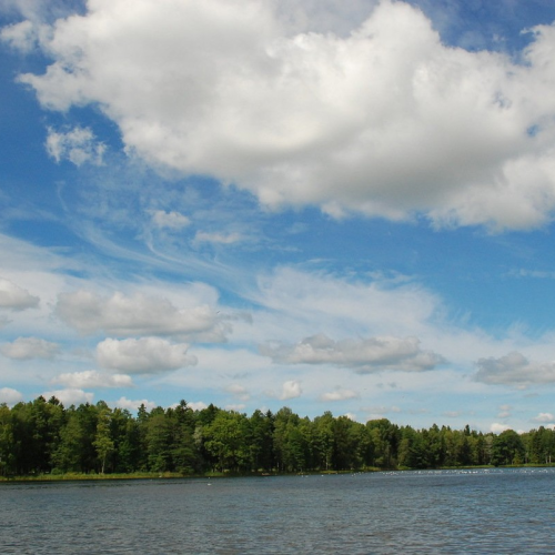 Дворцово-парковый ансамбль в Гатчине — из Петербурга