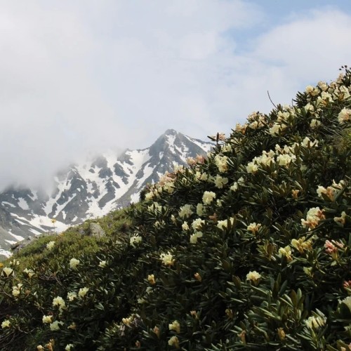 Россыпь цветов и мириады звёзд: астропоход в сердце гор (мини-группа)