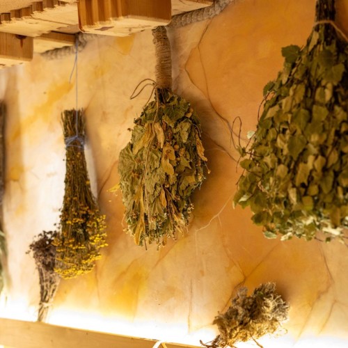 Семейные выходные на базе отдыха: индивидуальный тур с катанием на квадроциклах, баней и рыбалкой