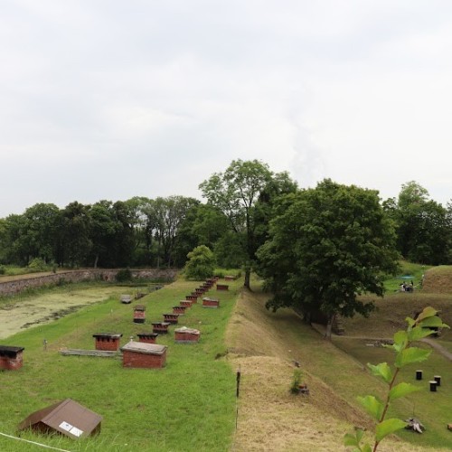 Вперёд в прошлое! Открываем тайны Калининграда через музеи, форты и бункер