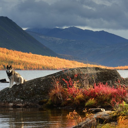 Колымские приключения: Магадан и окрестности в формате «всё включено»