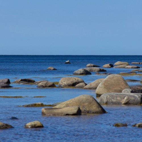 Путешествие на Соловки: погружение в историю, прогулки на катере, лодке и пешком
