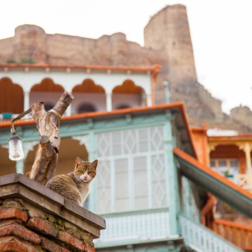 Большое путешествие 2 в 1: Армения и Грузия, дегустации, мастер-классы и экскурсии