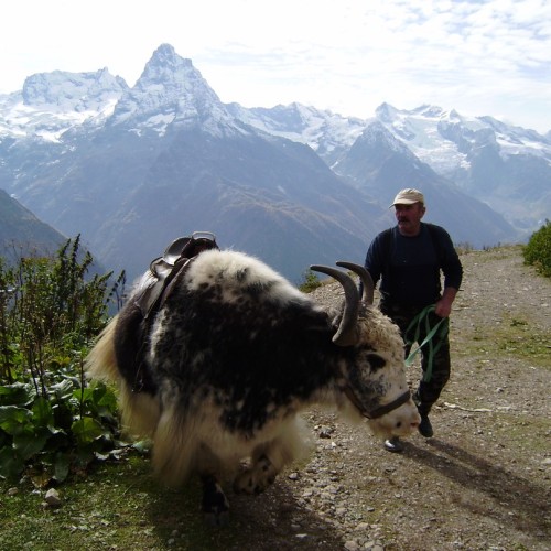Домбай: экскурсии и походы по заповедным местам