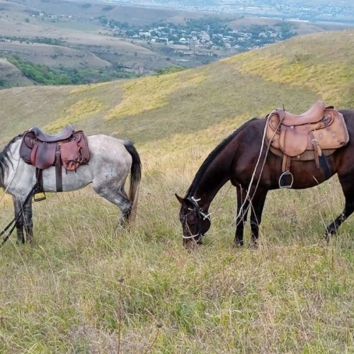Конная прогулка над ущельем в мини-группе