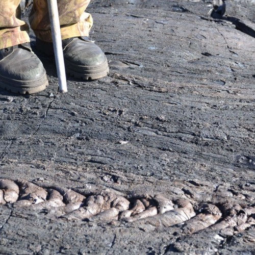 Большое путешествие по Камчатке: вулканы, глэмпинг в Мёртвом лесу и круиз в бухту Русская