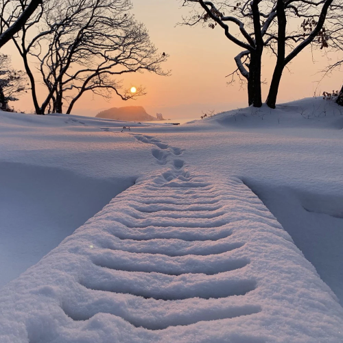 Индивидуальная перезагрузка на берегу заповедной бухты Петрова
