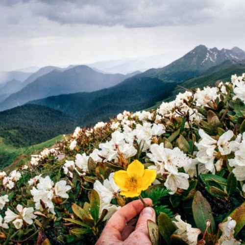 От Псебая до Красной Поляны: поход по горам с выходом к морю