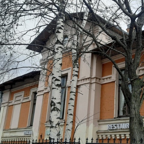 Мобильный квест в Петербурге «Поиски слона на Озерках»