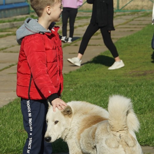 Былины Калязина и Кашина: дегустации, мастер-классы и старорусские забавы