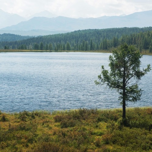 Автотур по Золотому кольцу Алтая с прогулками и посещением Телецкого озера