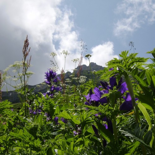 Маршрут №30: поход через горы к морю