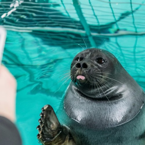 С семьёй на Байкал: знакомство с Листвянкой, этнографический музей и время на отдых