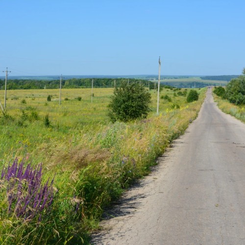 Велопрогулка по Самарскому Заволжью