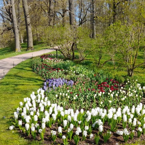 Гатчина: от императорской резиденции до столицы Ленинградской области