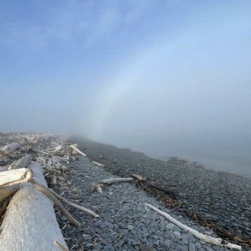 Навстречу гренландским китам: экспедиция к Шантарским островам с лекциями биологов
