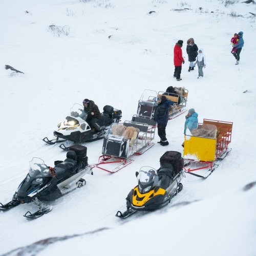 Экспресс-тур по Арктике в мини-группе: Териберка, северное сияние, гастрономия, хаски и олени